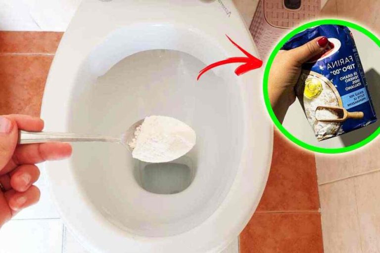 Comment Enlever Des Grosses Traces De Calcaire Dans Les Toilettes 930x620