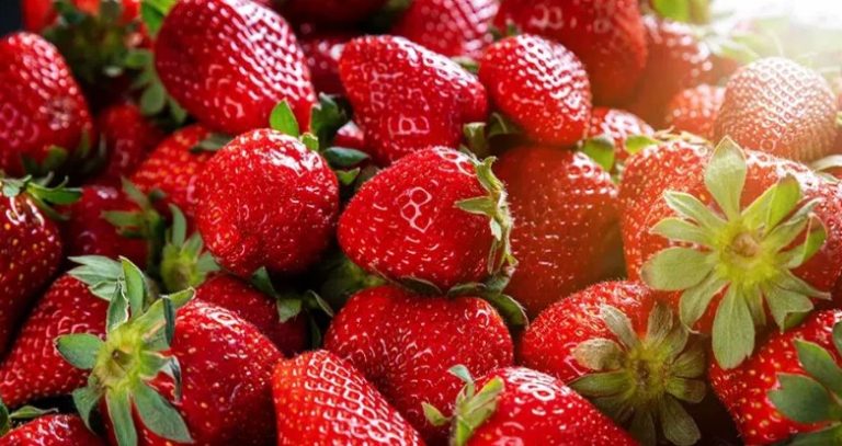 How To Grow Large And Juicy Strawberries At Home