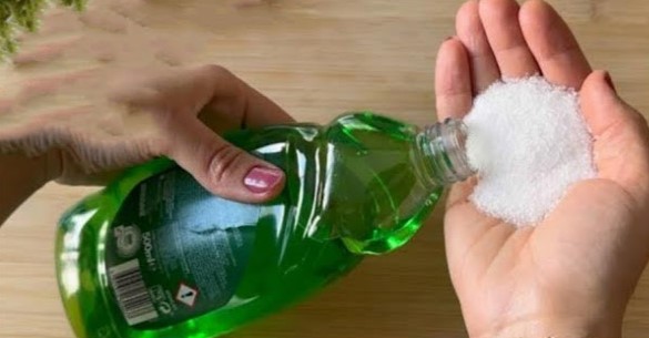 Mix Detergent With Salt You Wont Believe The Incredible Result